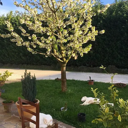 Casa rural Corte Del Brenta Oriago Di Mira