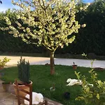 Εξοχικό σπίτι Corte Del Brenta Oriago Di Mira