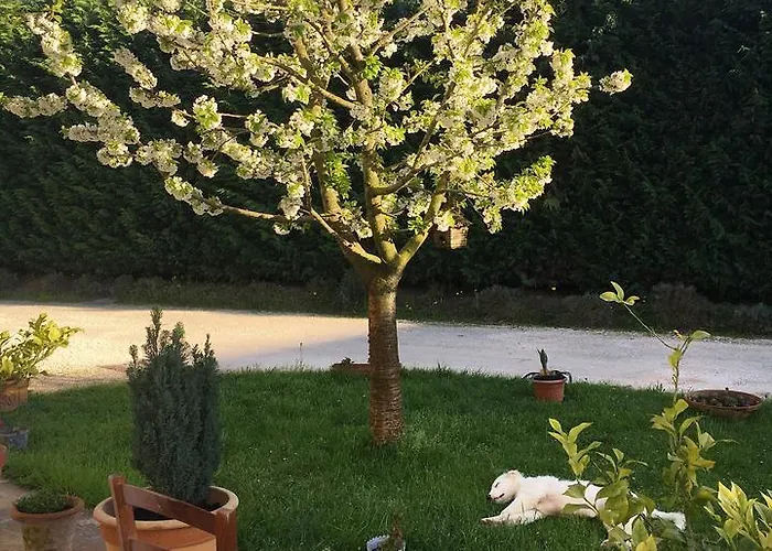 Kır Evi Corte Del Brenta Oriago Di Mira